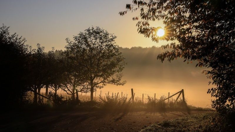 herbststimmung 01