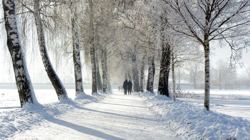 winter_allee_b800